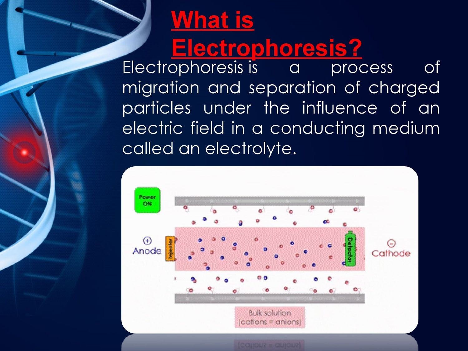 Electrophoresis Applications in Medicine 2