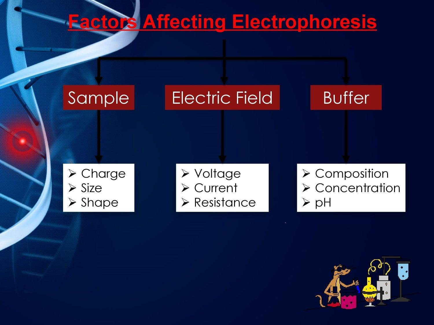 Electrophoresis Applications in Medicine 4