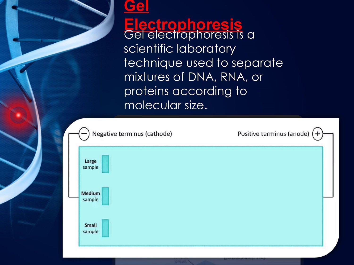 Electrophoresis Applications in Medicine 5