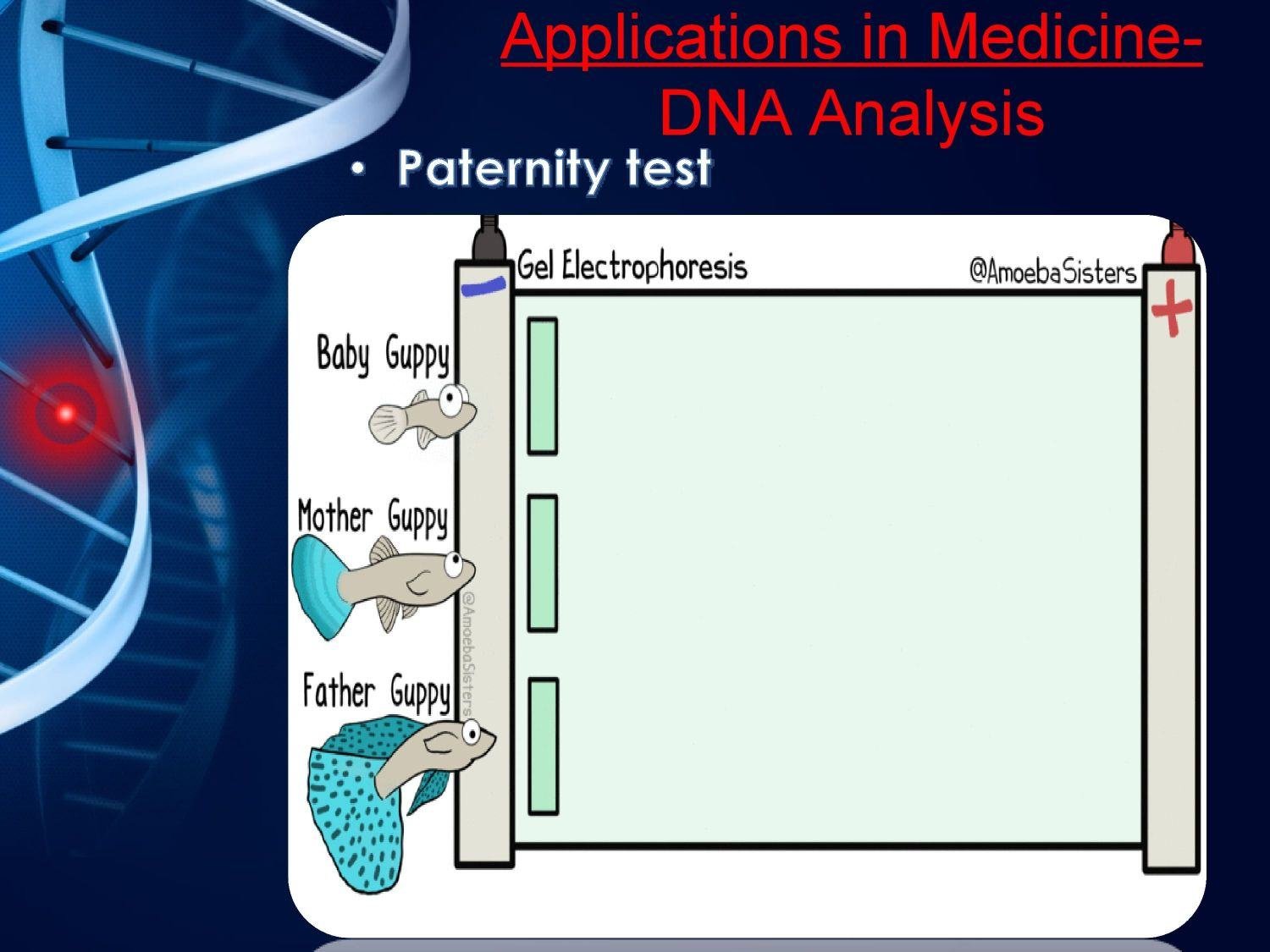 Electrophoresis Applications in Medicine 6