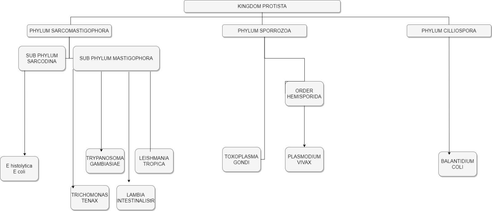 Protista